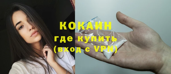 индика Белоозёрский
