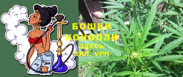 индика Белоозёрский