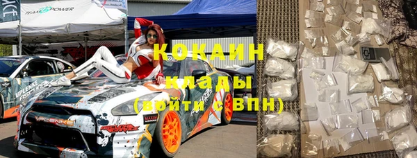 индика Белоозёрский