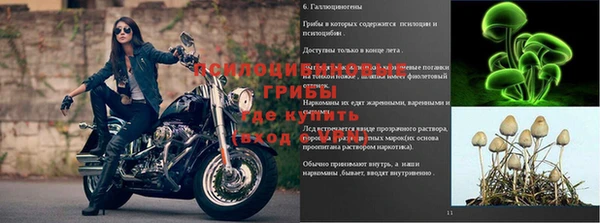 индика Белоозёрский