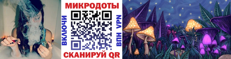 что такое Горячий Ключ Псилоцибиновые грибы мицелий