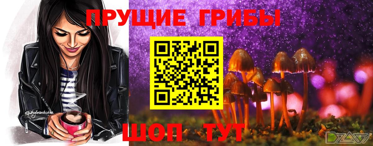 Псилоцибиновые грибы Psilocybe  Вход с VPN  Псилоцибиновые грибы прущие грибы  Горячий Ключ 